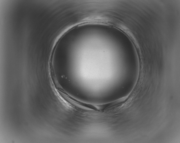 X0000072521344200607141148