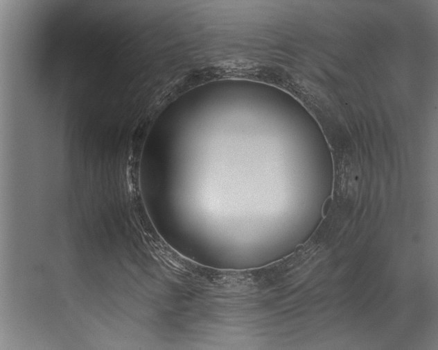 X0000072521346200607141147