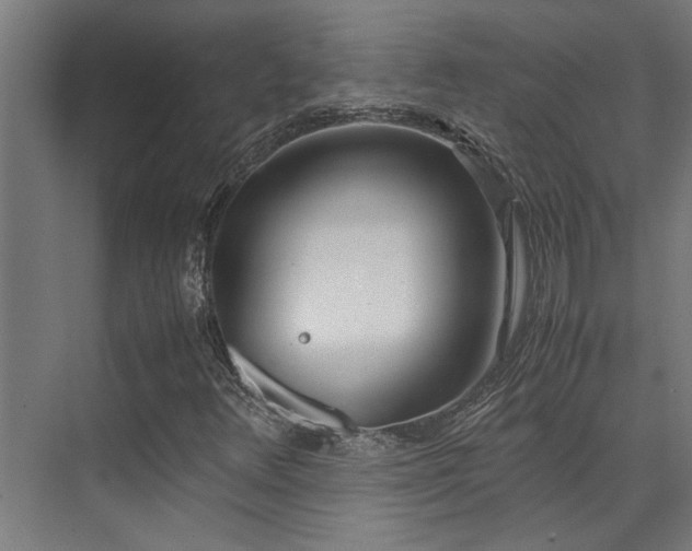 X0000072521348200607141147