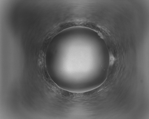 X0000072521349200607141147