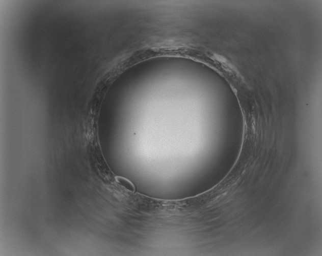 X0000072521350200607141147