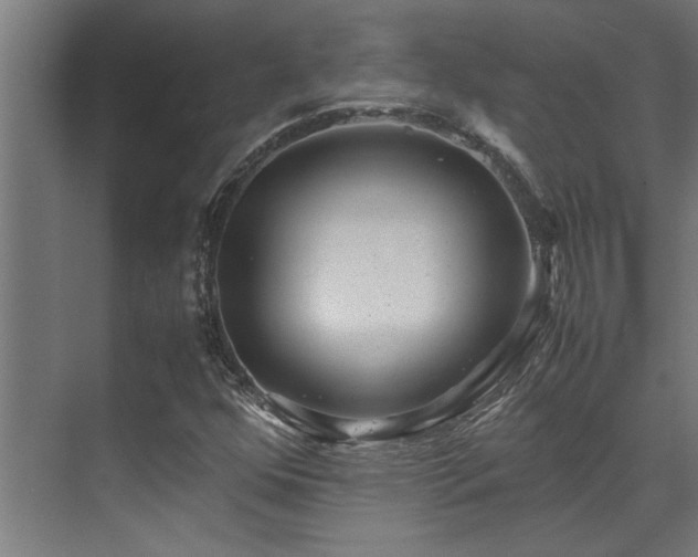 X0000072521352200607141147