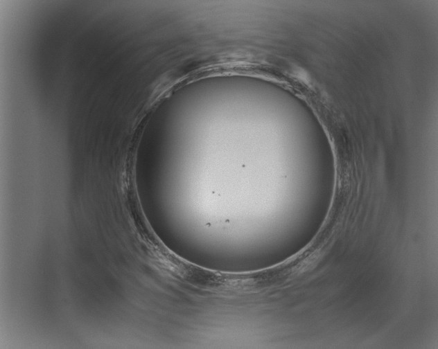 X0000072521353200607141147