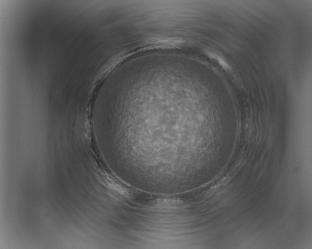 X0000072521354200607141147