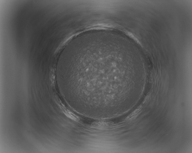 X0000072521355200607141147