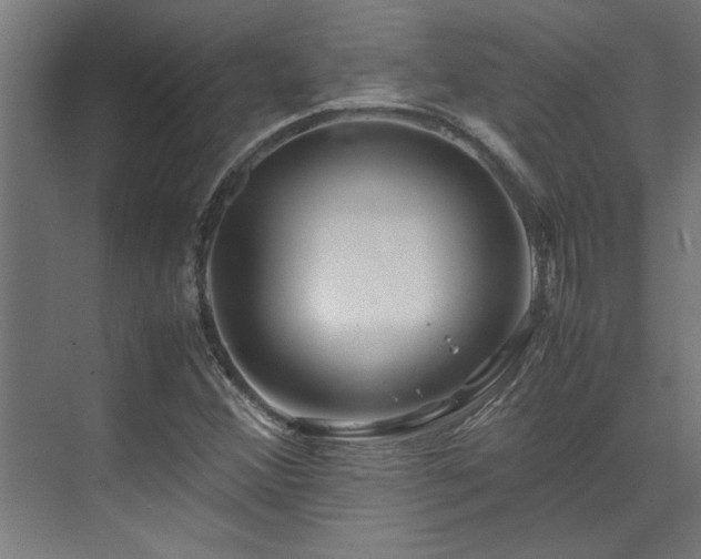 X0000072521356200607141147