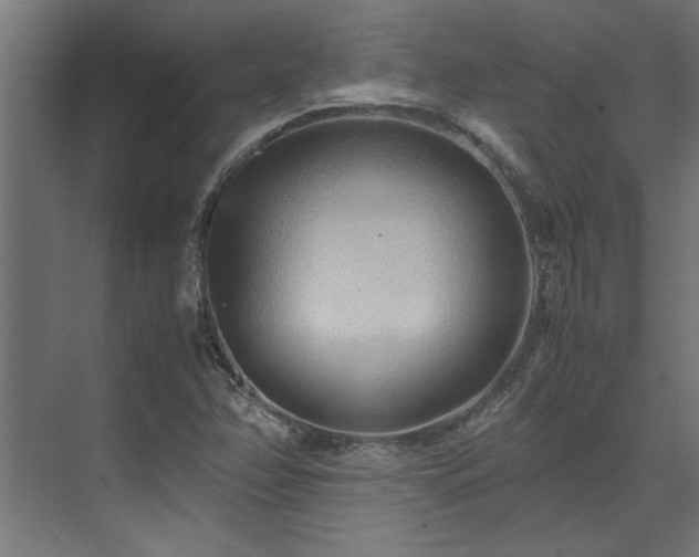 X0000072521358200607141147