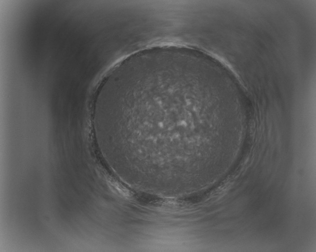 X0000072521359200607141147