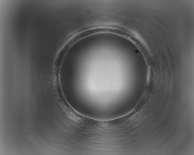 X0000072521360200607141147