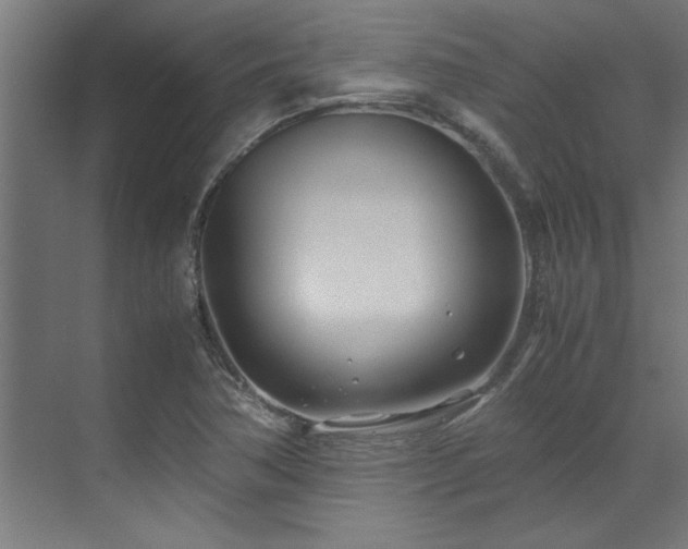 X0000072521362200607141147