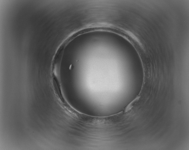 X0000072521364200607141147