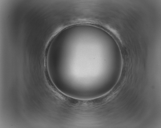 X0000072521365200607141147