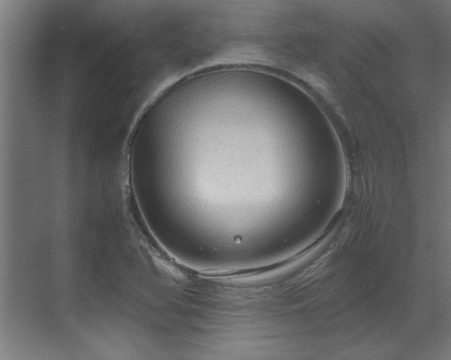 X0000072521366200607141147