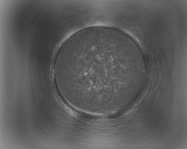 X0000072521367200607141147