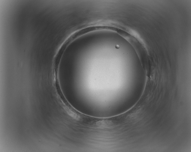 X0000072521368200607141147