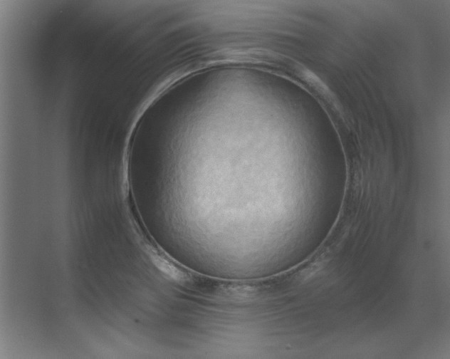 X0000072521370200607141147