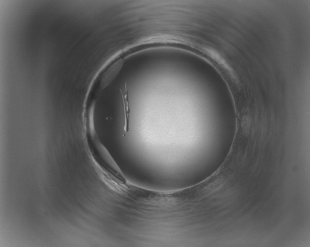 X0000072521372200607141147