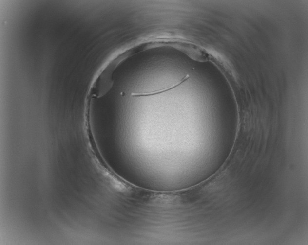 X0000072521374200607141147