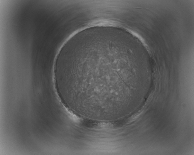 X0000072521375200607141147