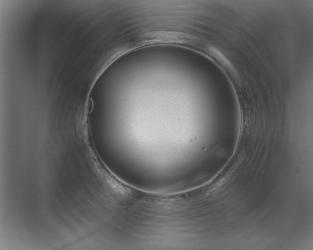 X0000072521378200607141147