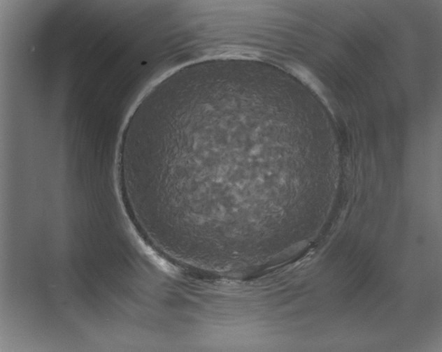 X0000072521379200607141147