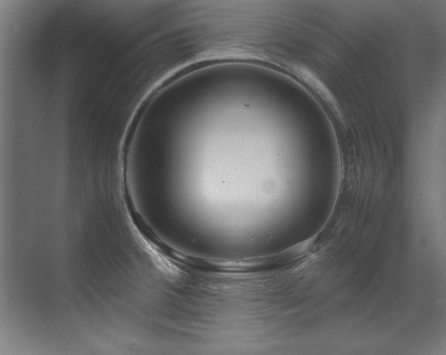 X0000072521380200607141147