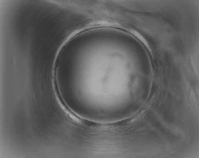 X0000072521381200607141147