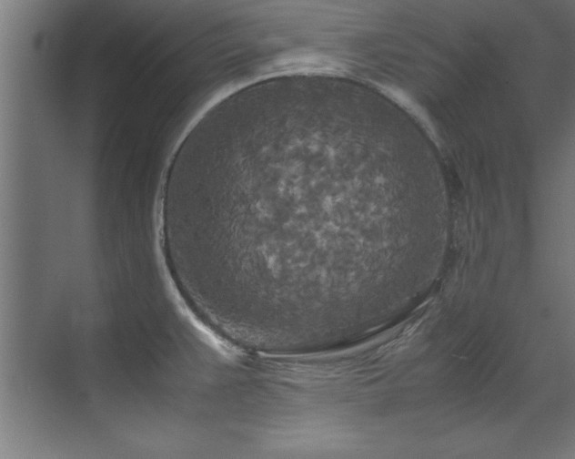 X0000072521383200607141147