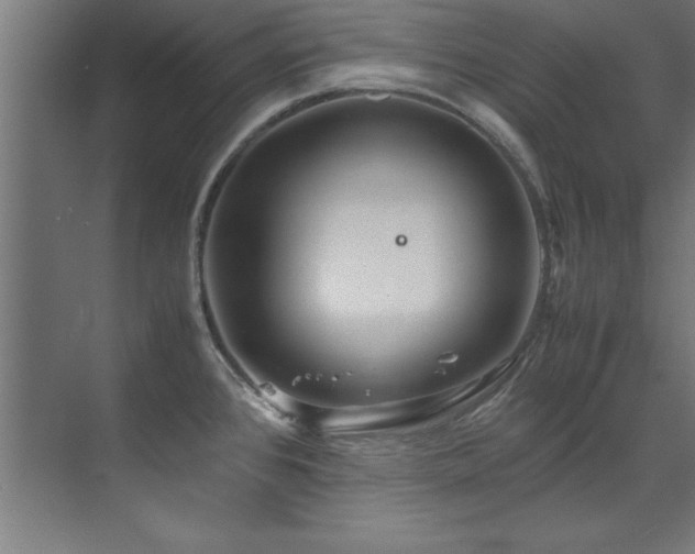 X0000072521384200607141147