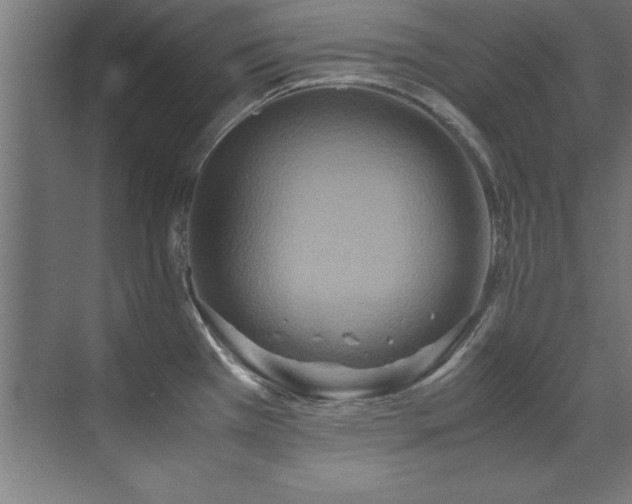 X0000072521385200607141146