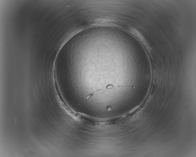 X0000072521386200607141146