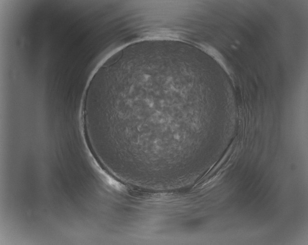 X0000072521387200607141146