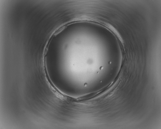 X0000072521388200607141146