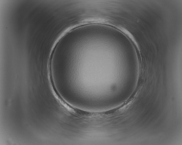 X0000072521389200607141146