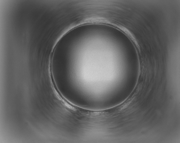 X0000072521390200607141146