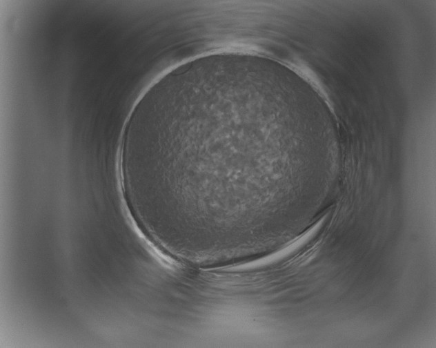 X0000072521391200607141146