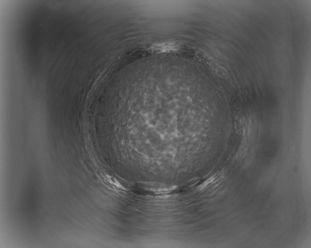 X0000072521393200607141146