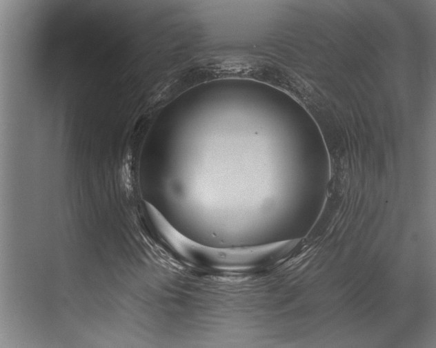 X0000072521394200607141146