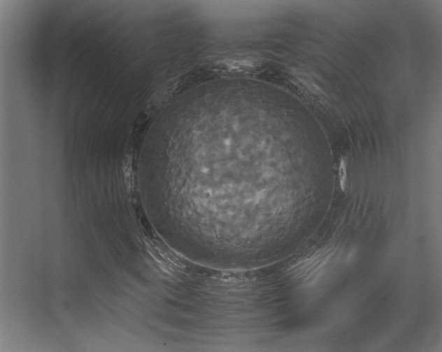 X0000072521395200607141146