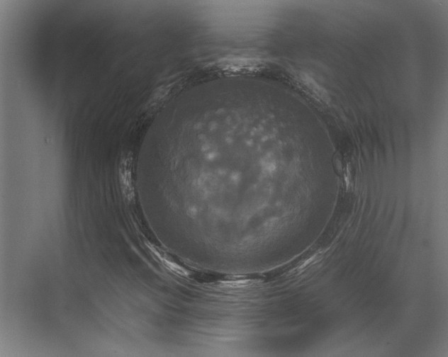 X0000072521396200607141146