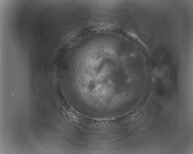 X0000072521399200607141146