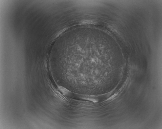 X0000072521401200607141146