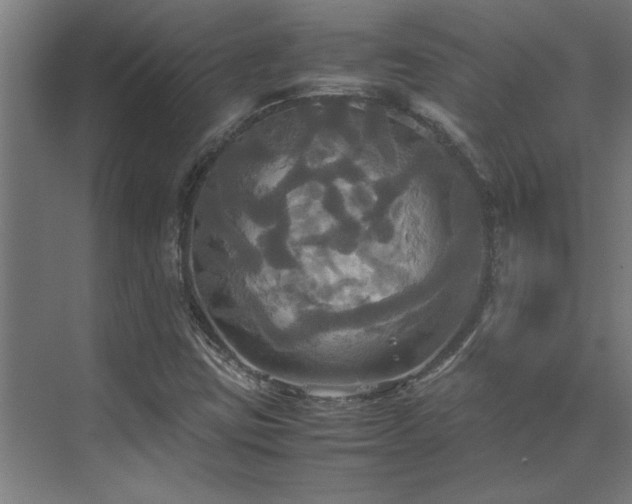 X0000072521403200607141146