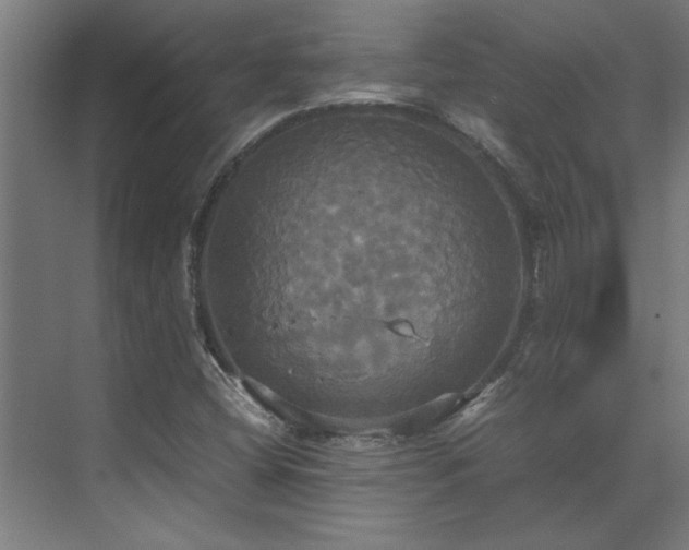 X0000072521404200607141146