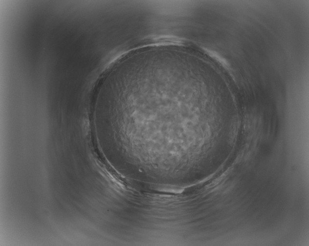 X0000072521407200607141146