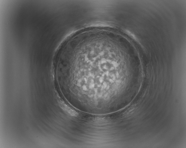 X0000072521408200607141146