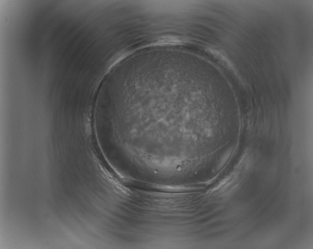 X0000072521409200607141146