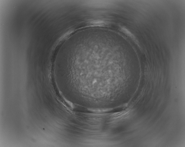 X0000072521411200607141146