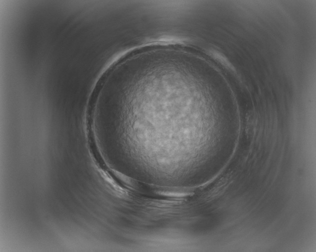 X0000072521412200607141146