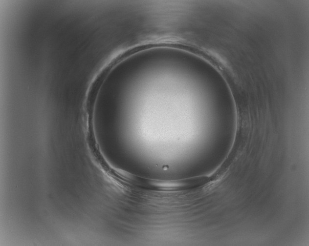 X0000072521414200607141146